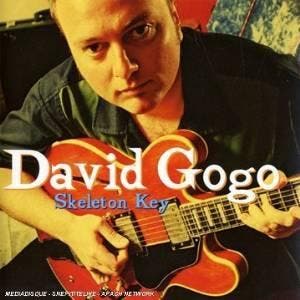 cd - David Gogo - Skeleton Key, Verzenden, Zo goed als nieuw