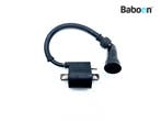 Bobine Suzuki DR 800 S 1991-1999 (DR800S SR43) Front, Motoren, Verzenden, Gebruikt