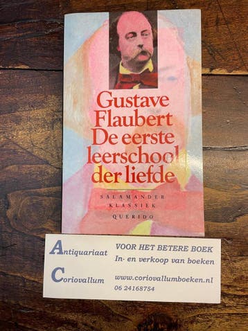 De eerste leerschool der liefde / Salamander Klassiek / 753, Verzenden, Gelezen, Gustave Flaubert
