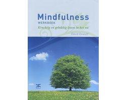 Mindfulness werkboek - Mindfulness werkboek, Ophalen of Verzenden, Nieuw