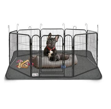 MaxxPet Hondenren Puppyren met 8 panelen - Staal - 60x60c..., Dieren en Toebehoren, Verzenden, Nieuw