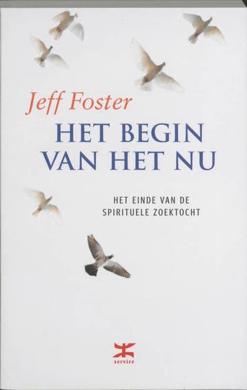 Het begin van het nu - J. Foster 9789021538839, Boeken, Verzenden, Gelezen, J. Foster