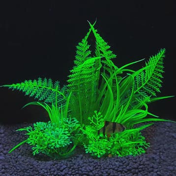 Kunstplanten Aquarium Set - Levendige Decoratie voor Vissenk, Dieren en Toebehoren, Verzenden, Nieuw