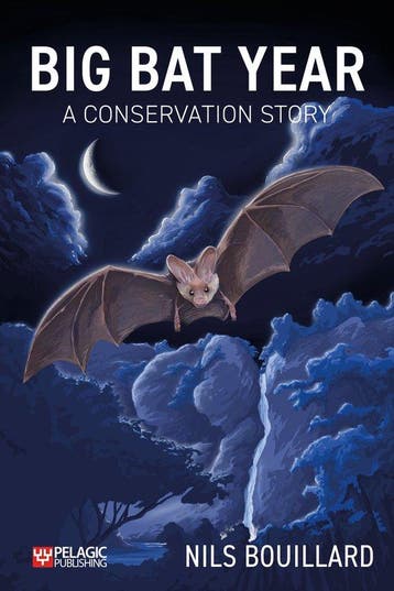 Big Bat Year 9781784273101 Nils Bouillard, Verzenden, Zo goed als nieuw, Nils Bouillard
