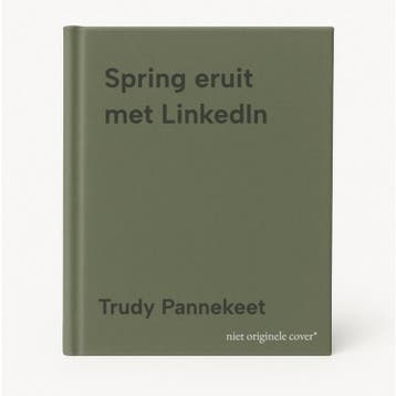 Spring eruit met LinkedIn - Trudy Pannekeet 9789083220413, Verzenden, Gelezen, Trudy Pannekeet