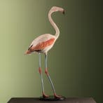 Grote Flamingo Taxidermie Opgezette Dieren By Max, Ophalen of Verzenden, Nieuw, Vogel, Opgezet dier
