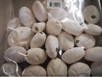 Zeeegel sea urchin dapaw naturel wit ca. 20+5 stuks, Ophalen of Verzenden, Nieuw