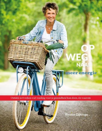 Op weg naar meer energie - Rineke Dijkinga 9789081821568, Verzenden, Gelezen, Rineke Dijkinga