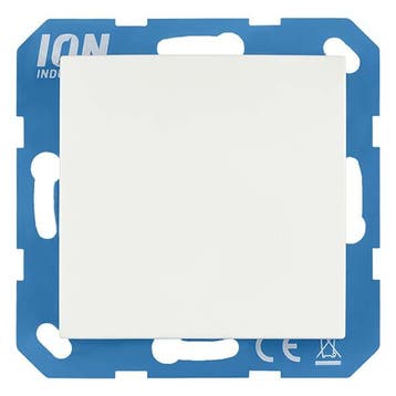 Blindplaat | ION Industries | V1/J1 (Wit), Doe-het-zelf en Verbouw, Verzenden, Nieuw