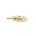 Gouden sterrenbeeld hanger; Waterman (Hanger of bedel), Ophalen of Verzenden, Gebruikt, Goud, Overige merken