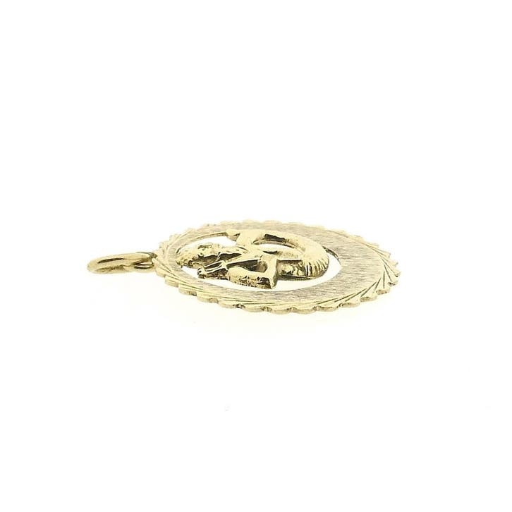 Gouden sterrenbeeld hanger; Waterman (Hanger of bedel), Sieraden, Tassen en Uiterlijk, Bedels, Gebruikt, Overige merken, Goud