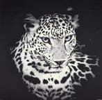 ARAZZO Predator Noir in Gobelin-weefsel - 140x140 cm -, Nieuw