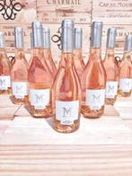 2023 Domaine Saint Maur cuvée Saint M - Provence Grand Cru, Nieuw