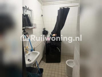 Zoek je een fijne woning in Zaanstad? (Pijnacker), Huizen en Kamers