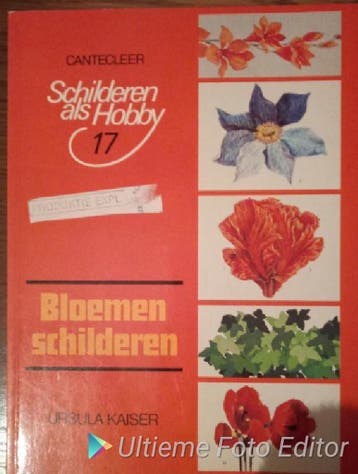 Bloemen schilderen - Kaiser 9789021314730, Boeken, Verzenden, Gelezen, Kaiser