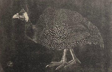 Jan Mankes (1889-1920) - Parelhoen