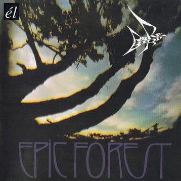 dvd - Rare Bird - Epic Forest, Verzenden, Zo goed als nieuw