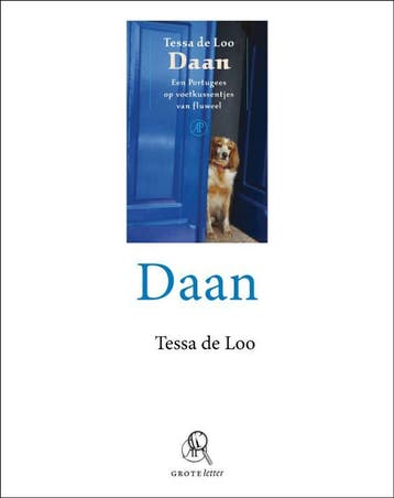 Daan - Tessa de Loo 9789029579032, Verzenden, Zo goed als nieuw, Tessa de Loo