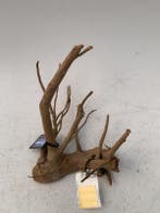 Spiderwood Selected SW9 - 30x36x23cm (Spider wood), Ophalen of Verzenden, Nieuw, Plant(en), Steen of Hout
