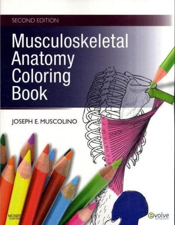 Musculoskeletal Anatomy Coloring Book - Joseph Muscolino, Verzenden, Gelezen, Joseph Muscolino