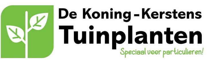 Alle vaste planten ! Ruim 2500 soorten leverbaar!, Tuin en Terras, Planten | Tuinplanten, Vaste plant, Ophalen