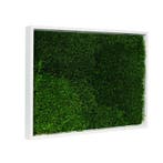 Vintlux Mosschilderij Lappenmos 30x40 cm Gebroken Wit, Nieuw