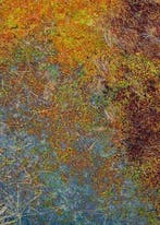 Bernhard Lang - The_Bog_Plants_002