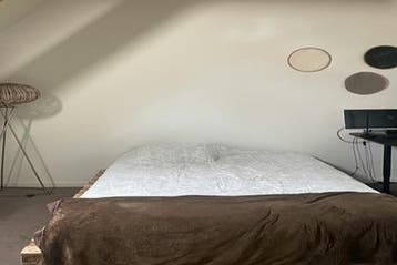Kamer Oude Varkenmarkt in Leiden, 20 tot 35 m², Leiden