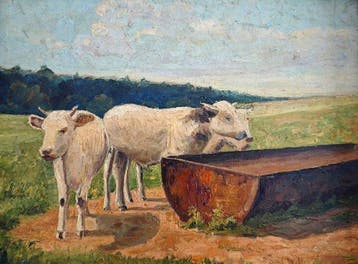 École postimpressionniste européenne (XX) - Vaches à