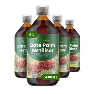 Dadelpalm Vloeibare meststof - 4x1 liter, Verzenden, Mest
