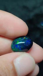 Opaal Negro AAA+++ vuurkleurig Multicolor - 4,5Ct -