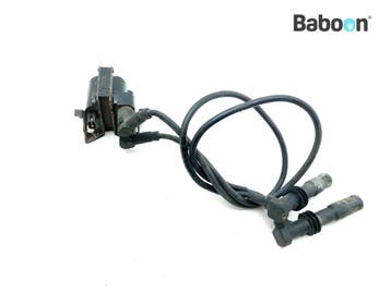 Bobine BMW R 1100 GS (R1100GS 94), Motoren, Onderdelen | BMW, Verzenden, Gebruikt