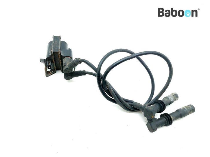 Bobine BMW R 1100 GS (R1100GS 94), Motoren, Onderdelen | BMW, Gebruikt, Verzenden