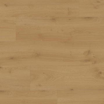 Douwes Dekker Sympathiek Balsamico (Douwes Dekker Laminaat), Verzenden, 50 tot 150 cm, Nieuw, 10 m² of meer
