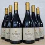 2023 Quinta da Pacheca Tinto - Douro Reserva - 6 Flessen, Nieuw