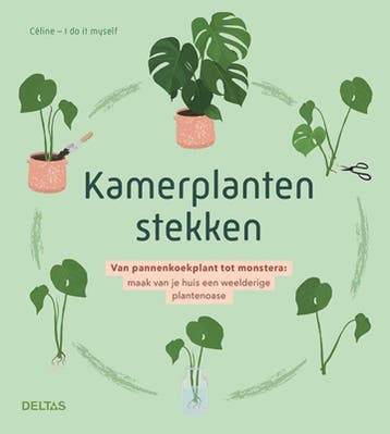Kamerplanten Stekken |  | Nieuw, Ophalen of Verzenden, Nieuw
