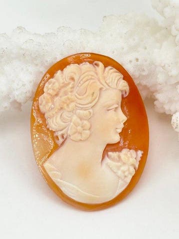 Cassis rufa zonder reserveprijs - Cameo - Handgesneden camee, Antiek en Kunst