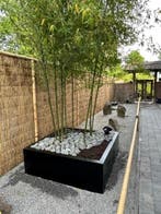 Stalen plantenbak 160x160x40 cm Zwart, Tuin en Terras, Bloembakken en Plantenbakken, Verzenden, Nieuw