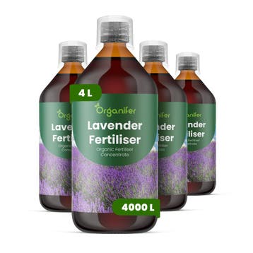 Lavendel Vloeibare meststof - Set 4x1 liter, Verzenden, Mest