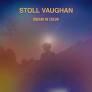 cd - Stoll Vaughan - Dream In Color, Verzenden, Zo goed als nieuw