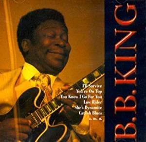 cd - Bb King - Ill Survive, Cd's en Dvd's, Verzenden, Zo goed als nieuw