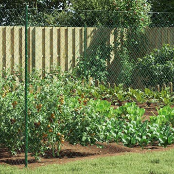 vidaXL Draadgaashek 2 x 20 m Staal Groen, Verzenden, Nieuw