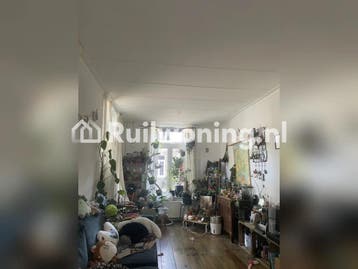 Van zuid naar noord (Maastricht, Limburg), Huizen en Kamers, Limburg