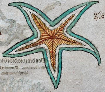 Conrad Gesner - Fischbuch - 1600