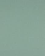 Flanel katoen mint, Nieuw, Groen