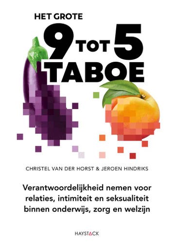 Het grote 9 tot 5 taboe - Christel van der Horst, Verzenden, Zo goed als nieuw, Christel van der Horst