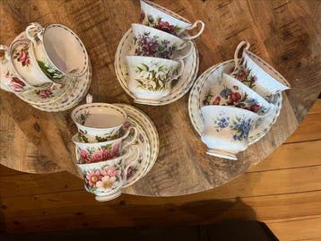 Royal Albert - Kop en schotel (12) - Flower of the month -