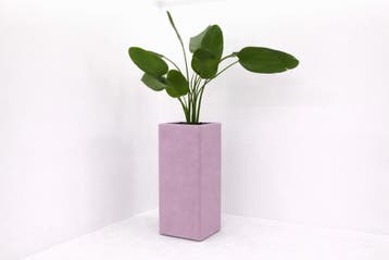 Akoestische plantenbak - 104x42x42cm (hxbxd) - wolvilt -, Werkplek, Ophalen of Verzenden, Nieuw in verpakking, Overige typen