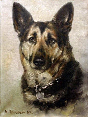 Andrea Hillen (Listed) - Portrait of German shepherd dog -, Antiek en Kunst