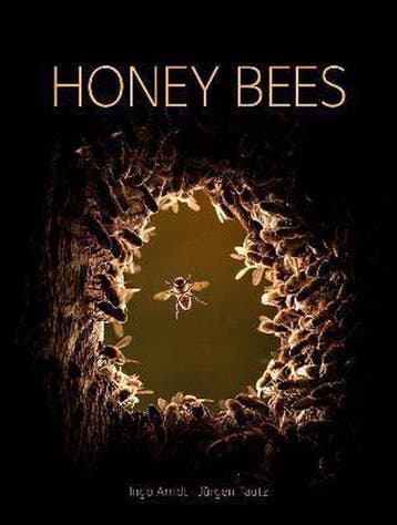 9780565095277 Honey Bees Jurgen Tautz, Verzenden, Nieuw, Jurgen Tautz